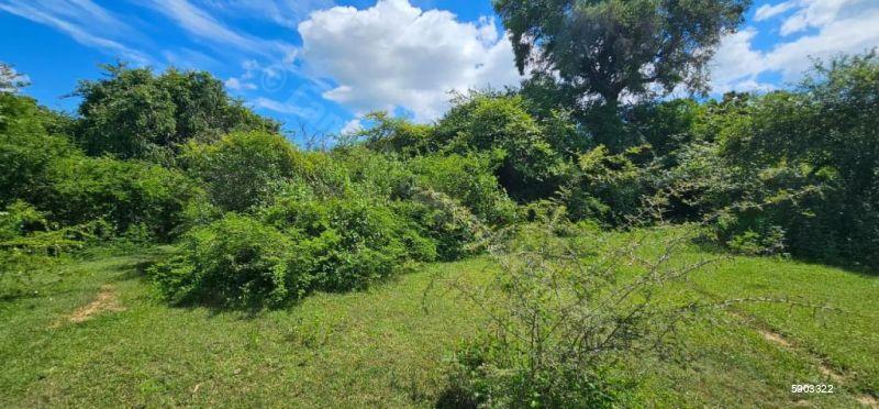 Waterfront land for sale in Yala