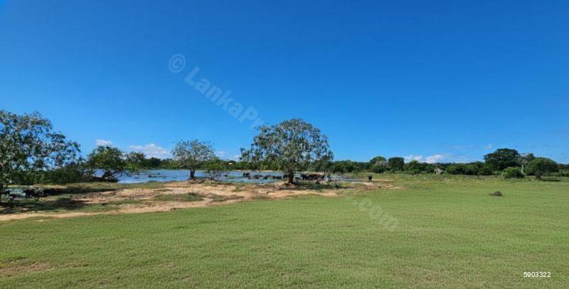 Waterfront land for sale in Yala