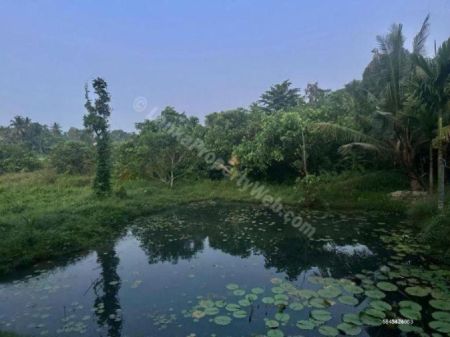 Exterior - House for Sale in Pannipitiya | 20 Perches – 4 BR – LKR 65 Million | KO-867