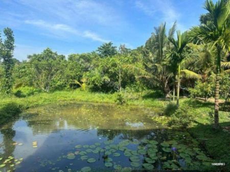Exterior - House for Sale in Pannipitiya | 20 Perches – 4 BR – LKR 65 Million | KO-867