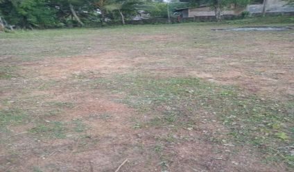 Bare Land
