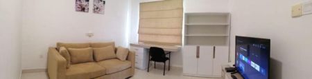 Living Room - Short term Reliance Residencies Apartment for rent in Rajagiriya 