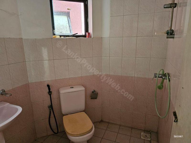 Bathroom - Apartment for rent in Colombo 9