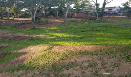 Bare Land