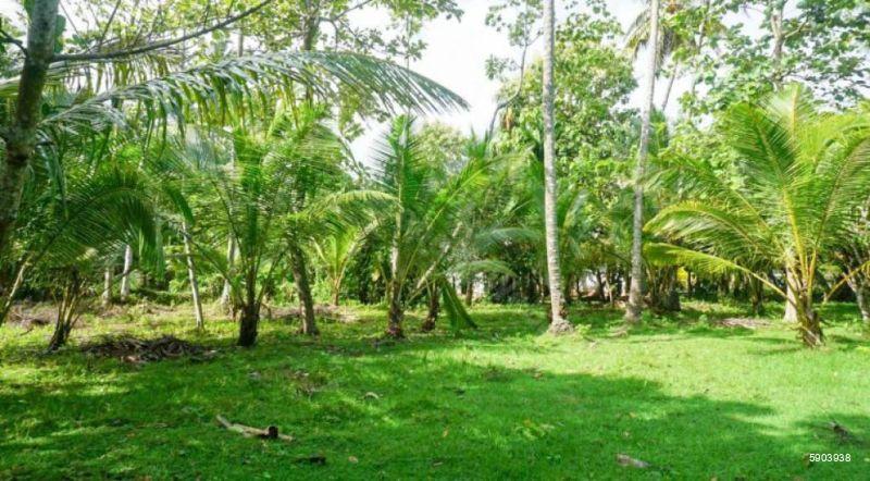 Katubedda Bare Land for sale/rent