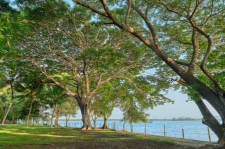 Exterior - Lakefront Nature Retreat for Sale – Yoda Wawa, Tissamaharama