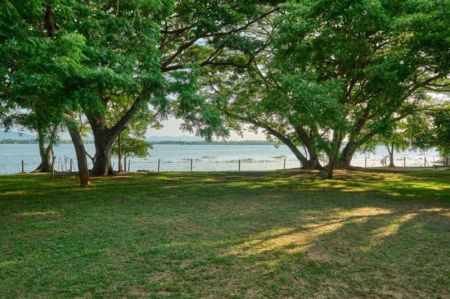 Exterior - Lakefront Nature Retreat for Sale – Yoda Wawa, Tissamaharama