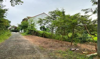 Bare Land