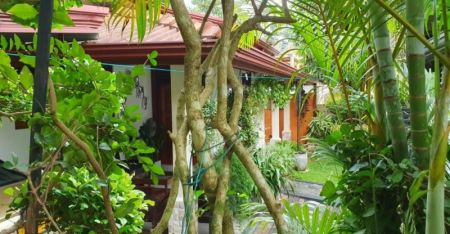 Exterior - Modern Family House for Sale – Kahathuduwa