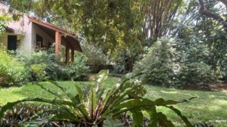 Exterior - Luxury Bungalow for Sale in New Hospital Road - Thalapathpitiya | LKR 205 Million - KO-560