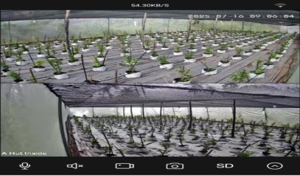 Cultivated Land