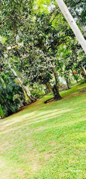 Exterior - House for sale in Naththandiya