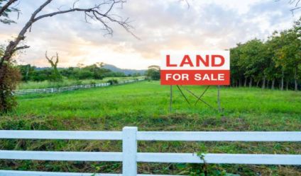 Cultivated Land