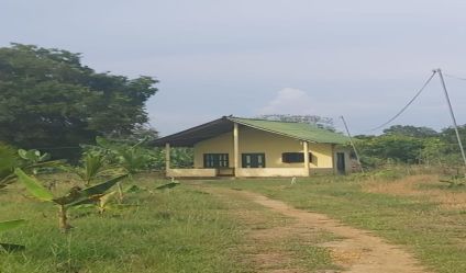Cultivated Land