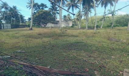 Bare Land