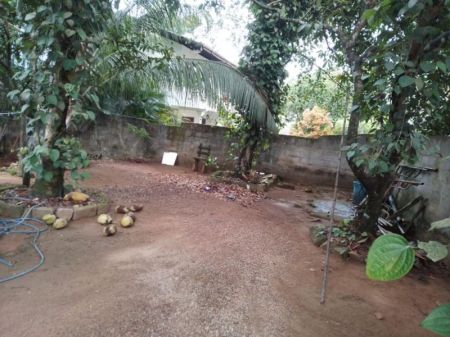 Exterior - තලගල, හොරණ පිහිටි දෙමහල් නිවස ඉක්මනින් විකිණීමට 