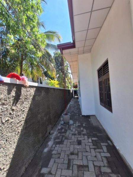 Exterior - Single Story 4 Bedrooms House For Sale in Piliyandala - EH392