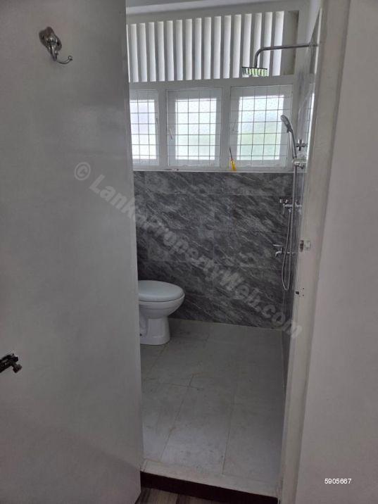 Bathroom - House for rent in Colombo 7