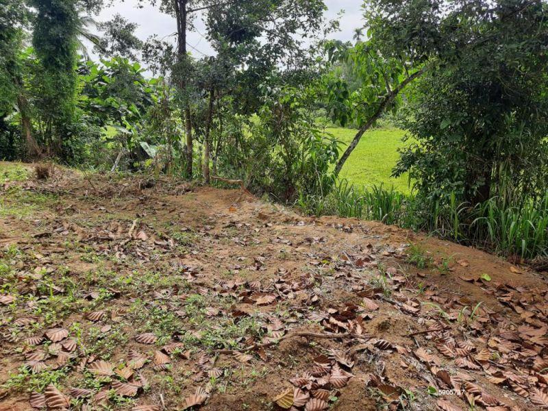 Bare Land for sale in Homagama