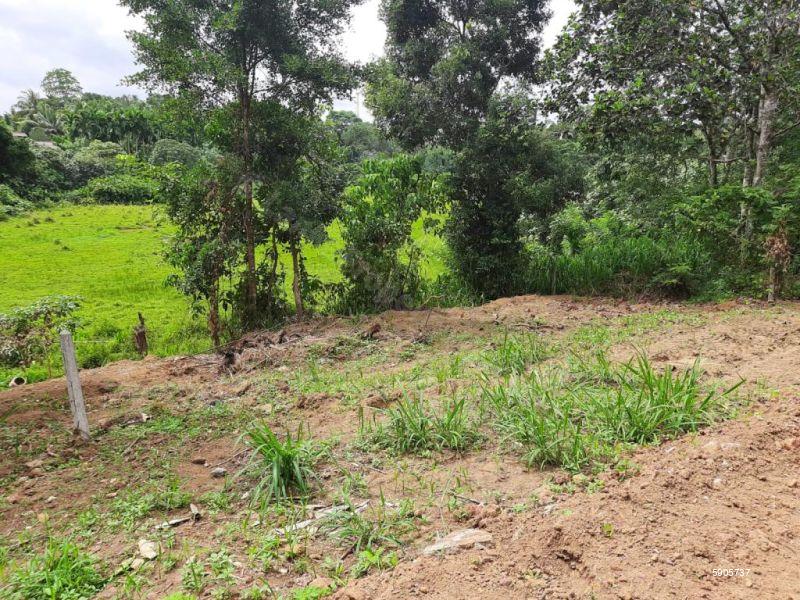 Bare Land for sale in Homagama