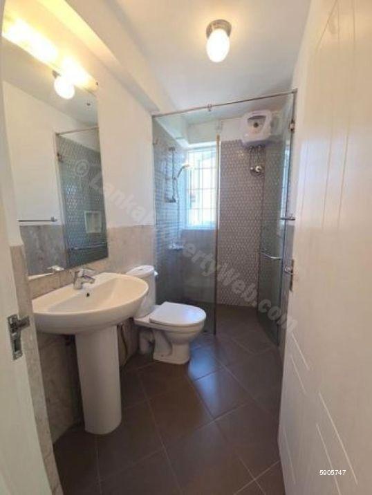 Bathroom - House for rent in Colombo 6