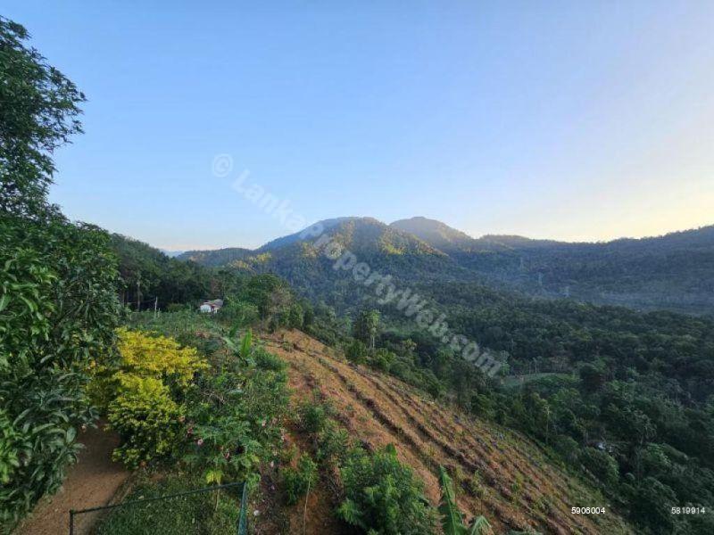 Bare Land for sale in Deraniyagala