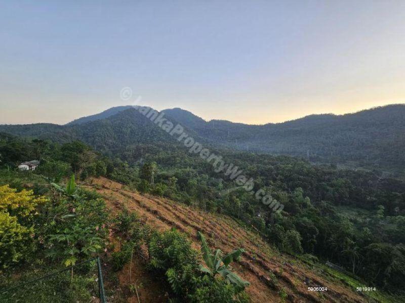 Bare Land for sale in Deraniyagala