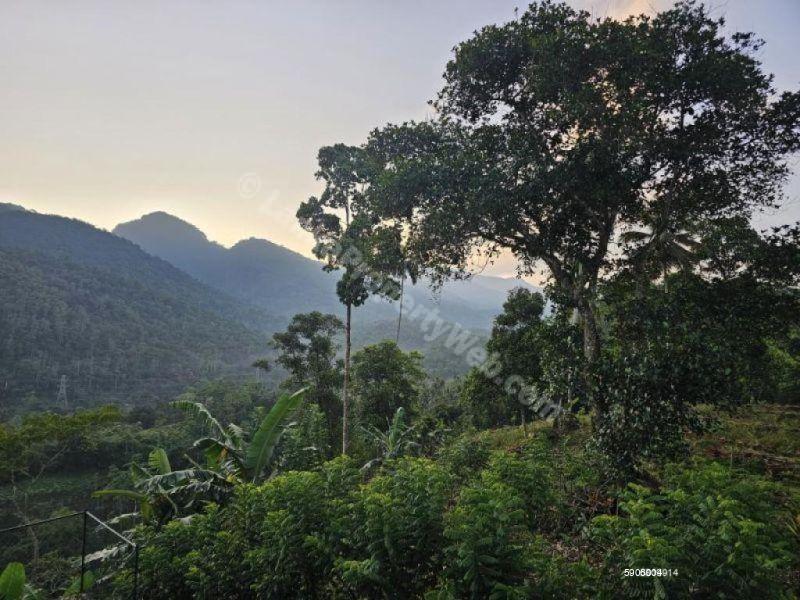 Bare Land for sale in Deraniyagala