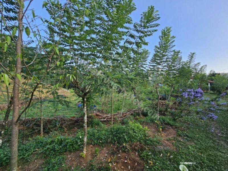 Bare Land for sale in Deraniyagala