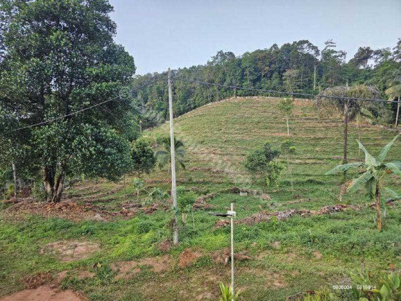 Bare Land for sale in Deraniyagala