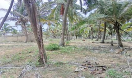 Beachfront land