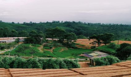 Land with house