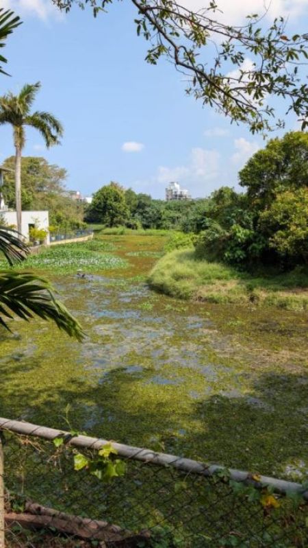 Exterior - 5BR House for Rent in Nawala | LKR 1,200,000