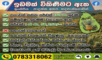 Cultivated Land