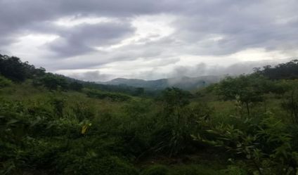 Bare Land
