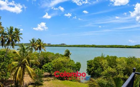 Exterior - Tangalle Villa - 185 Perch Lagoon Frontage Unique Property / Land for SALE - Rekawa West, Tangalle - Southern Province 