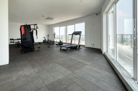Living Room - Furnished Apartment for rent in Pita Kotte 