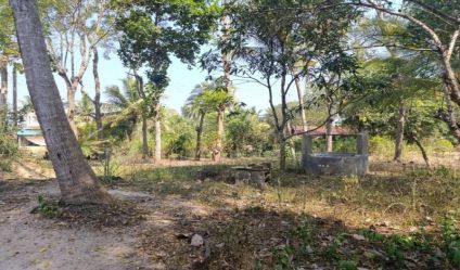 Land with house