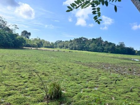Exterior - Villa For  Sale  In Ahangama  Inland –code  Add  609