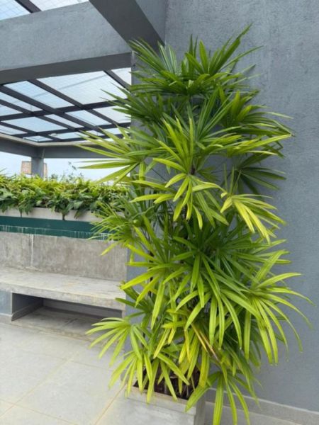 Exterior - The Loft Apartment Complex For Sale In Nugegoda -PDA506