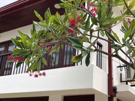 Exterior - 🏢 Office Space For Rent In Colombo 03 - Pdc193
