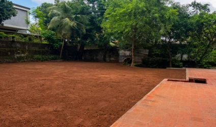 Bare Land