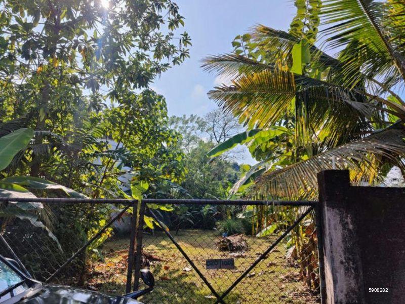 Battaramulla Bare Land for sale/rent