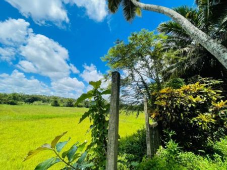 Exterior - Spacious Guest House for Sale in Biyagama with Excellent Accessibility