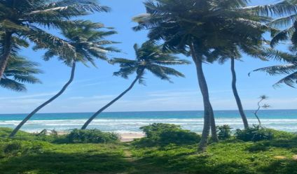 Beachfront land
