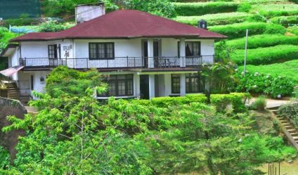 Bungalow