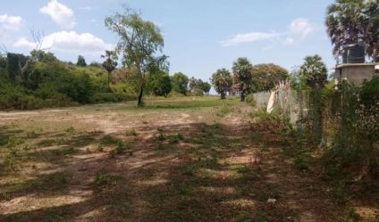 Bare Land
