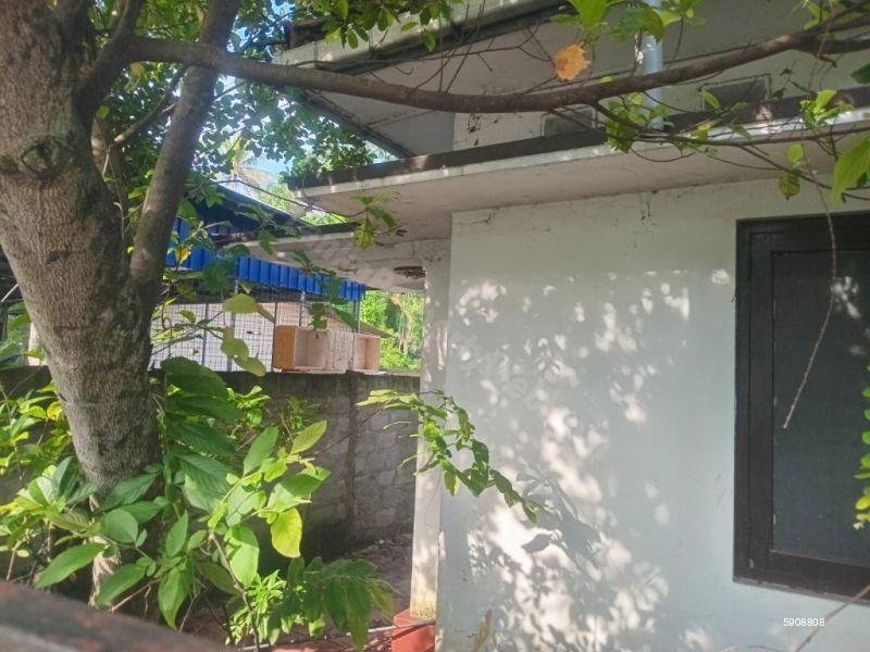 Kurunegala Bare Land for sale/rent