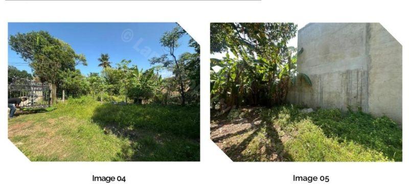 Bare Land for sale in Dehiwala