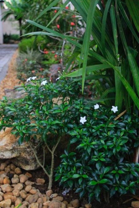 Exterior - 6 Bedroom Fully Furnished Property for Sale - Mount Lavinia | LKR 135,000,000 (EM695)